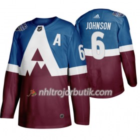 Män Ishockey Colorado Avalanche tröja Erik Johnson 6 Adidas 2020 Stadium Series Authentic